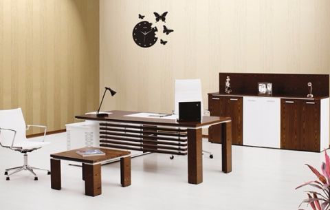 Electro VİP Executive Office  Furniture