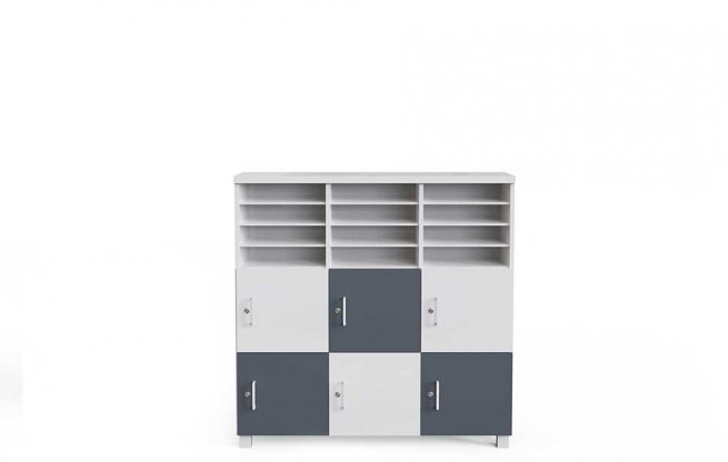 Project Cabinet (120*40*119H)